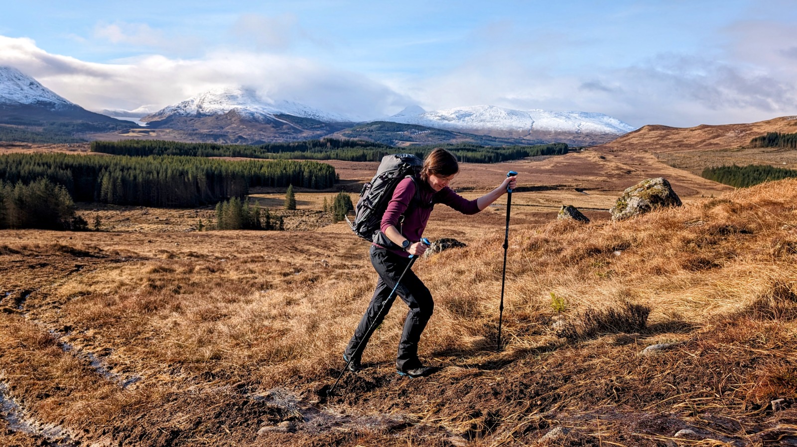 Walking Poles 101: Why They Matter & How to Use Them