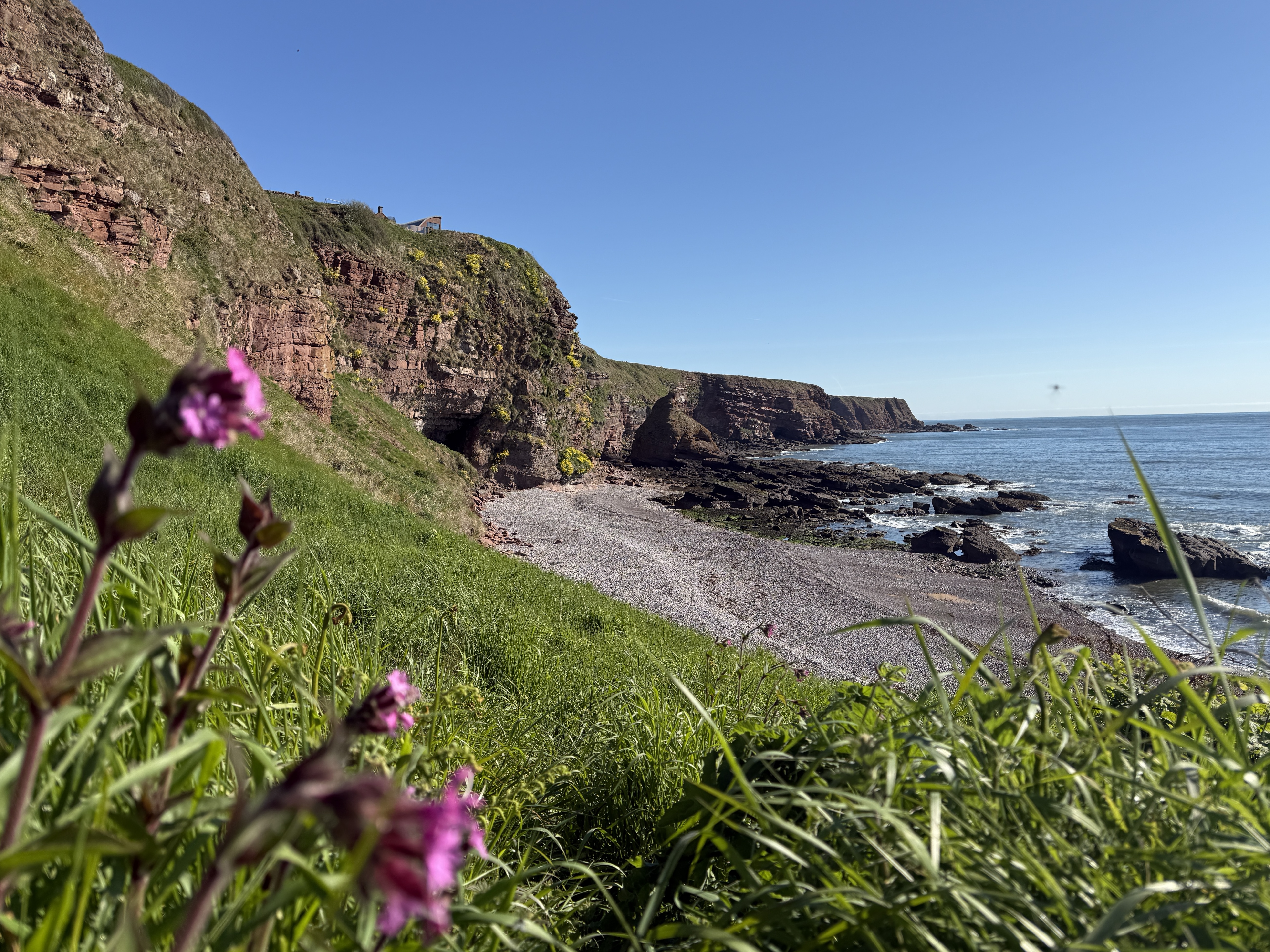 Arbroath Day Trip: Clifftop Walks, Hidden Bays and Coastal Highlights